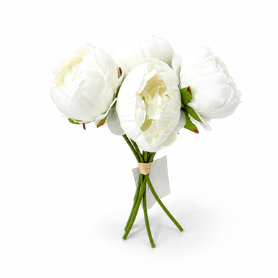 Buchet 6 bujori, culoare alb - ROC AF4
