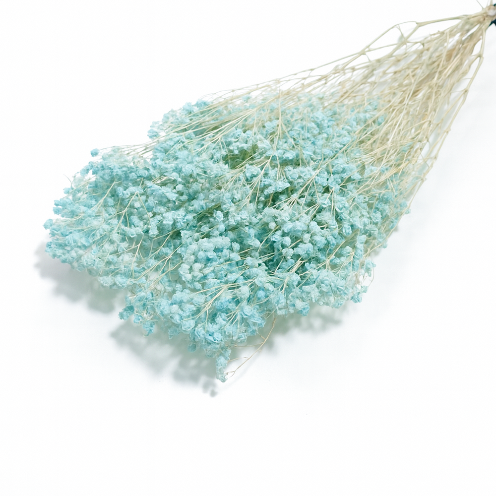 Buchet Gypsophila criogenată, culoare albastru deschis - ROC FD1