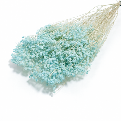 Buchet Gypsophila criogenată, culoare albastru deschis - ROC FD1