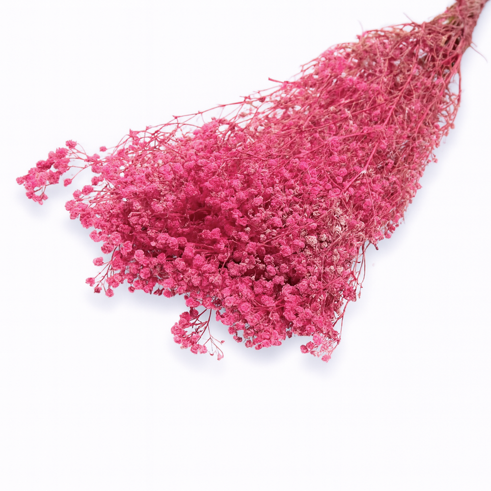 Buchet Gypsophila criogenată, culoare roz închis - ROC FD1