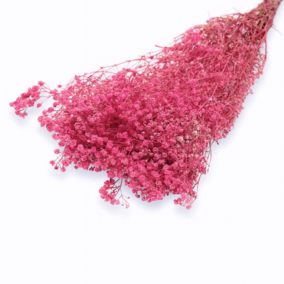 Buchet Gypsophila criogenată, culoare roz închis - ROC FD1