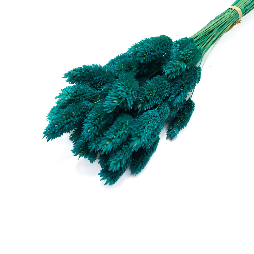 Phalaris, culoare verde petrol - ROC FD25