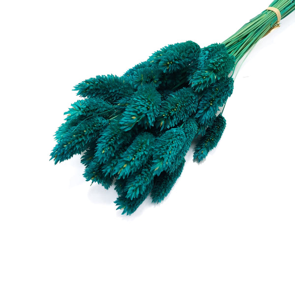 Phalaris, culoare verde petrol - ROC FD25