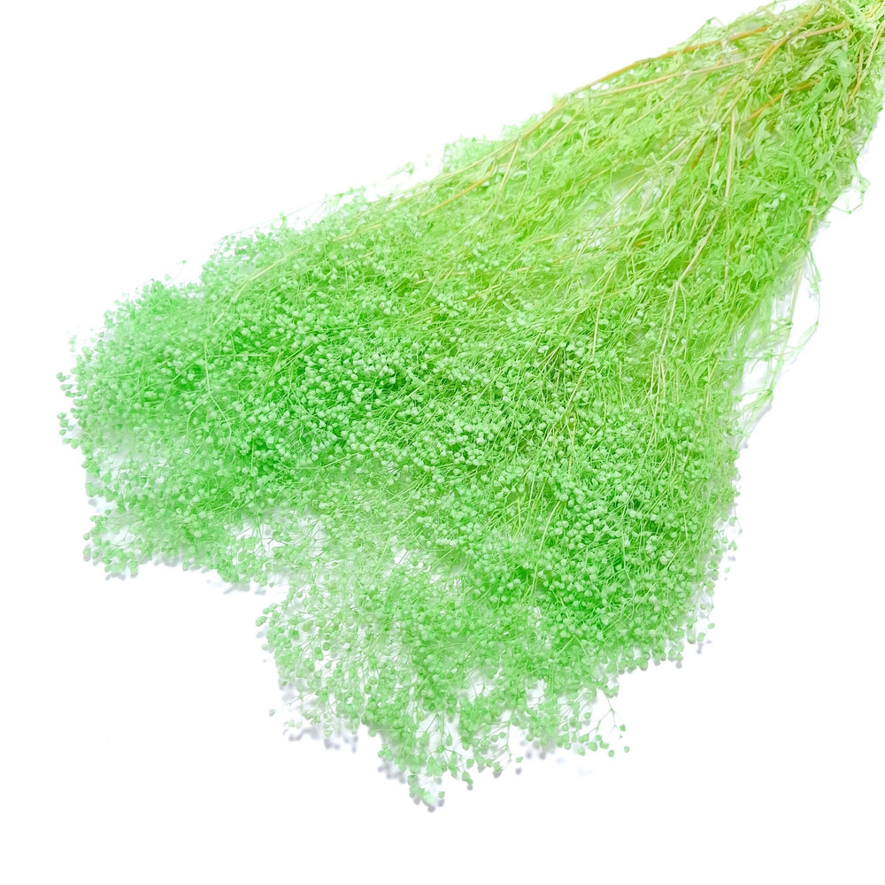 Broom bloom 60 grame, culoare verde deschis - ROC FD42