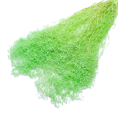 Broom bloom 60 grame, culoare verde deschis - ROC FD42