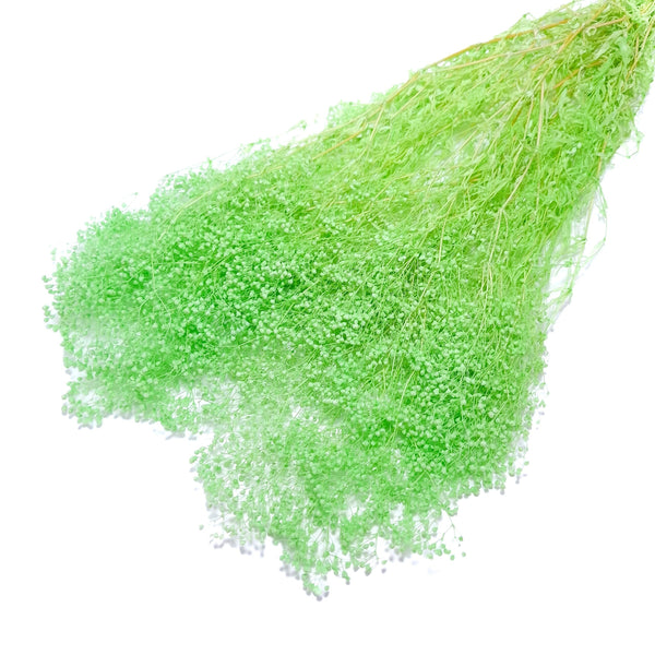 Broom bloom 60 grame, culoare verde deschis - ROC FD42