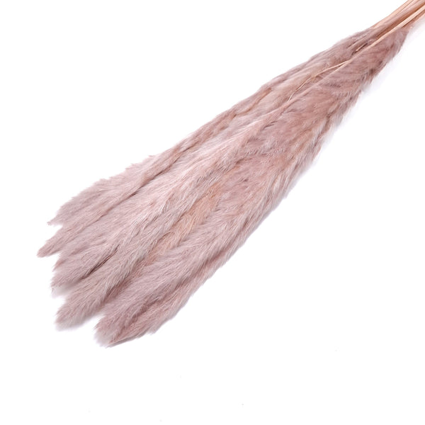 Buchet mini pampas, culoare maro - ROC FD7