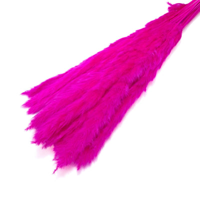 Buchet mini pampas, culoare ciclam - ROC FD7