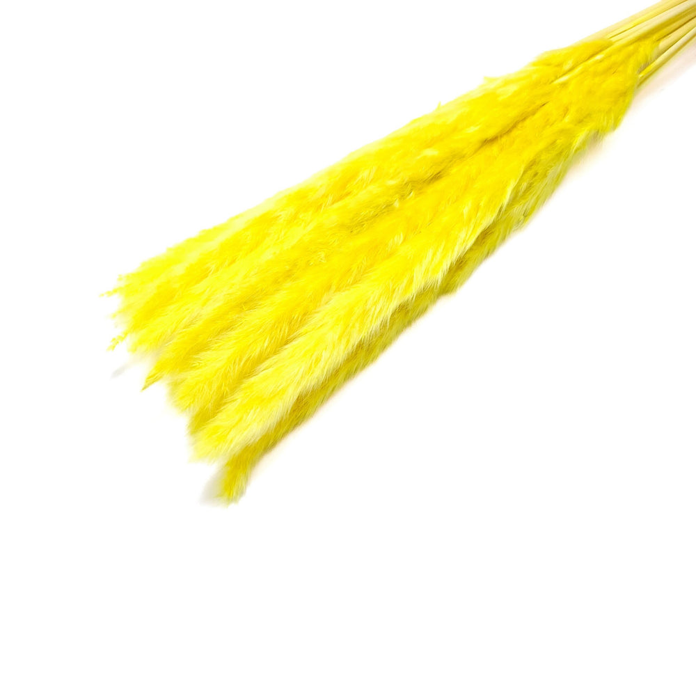 Buchet mini pampas, culoare galben - ROC FD7