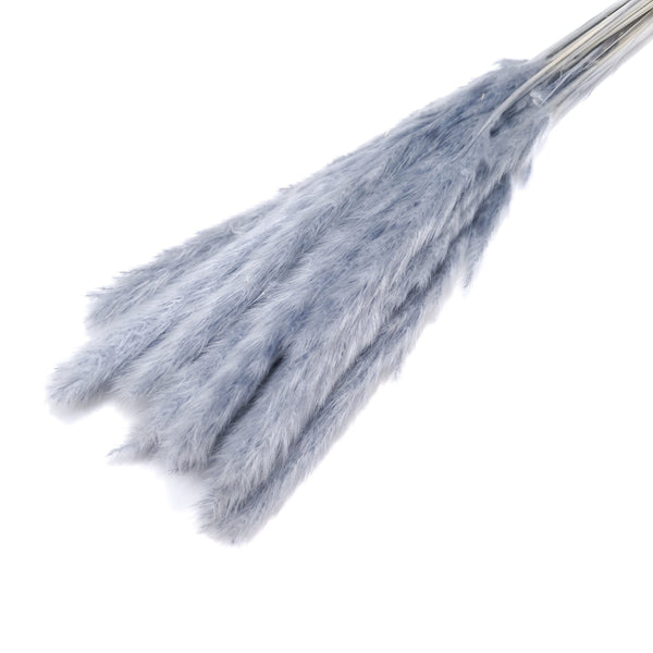 Buchet mini pampas, culoare gri - ROC FD7