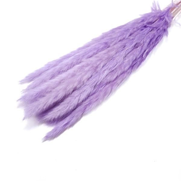 Buchet mini pampas, culoare lila - ROC FD7