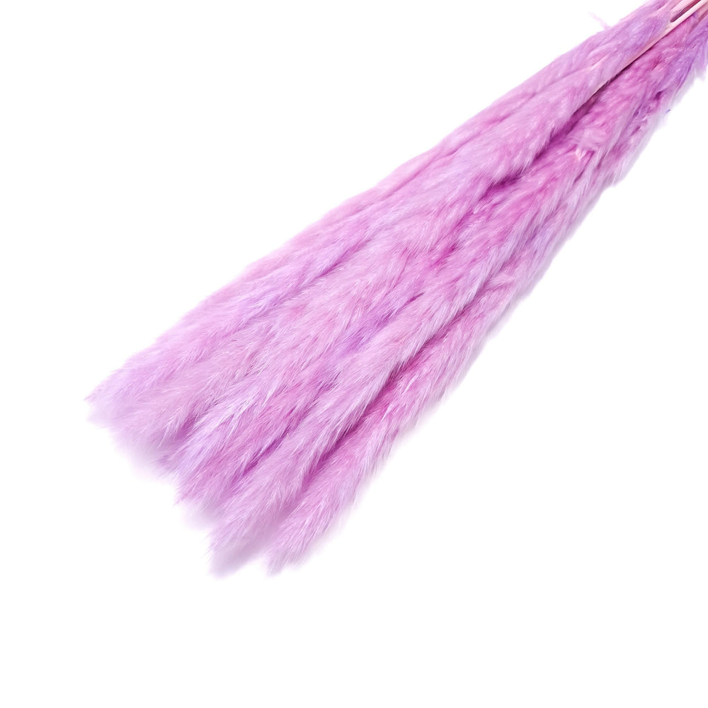 Buchet mini pampas, culoare lila deschis - ROC FD7
