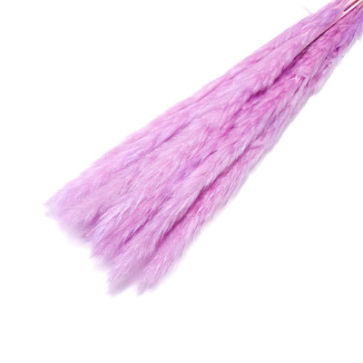 Buchet mini pampas, culoare lila deschis - ROC FD7