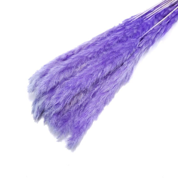 Buchet mini pampas, culoare mov - ROC FD7