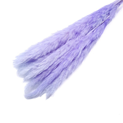 Buchet mini pampas, culoare mov deschis - ROC FD7