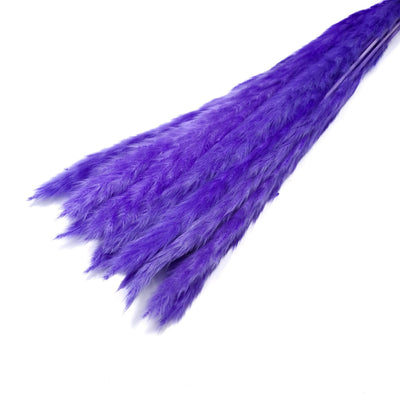 Buchet mini pampas, culoare mov închis - ROC FD7