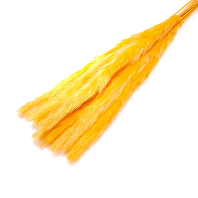 Buchet mini pampas, culoare portocaliu - ROC FD7