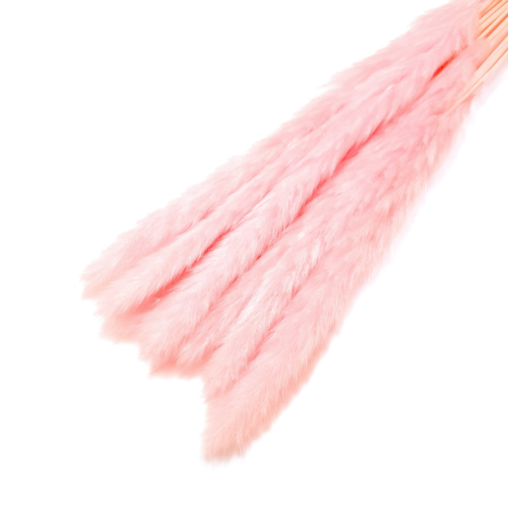 Buchet mini pampas, culoare roz deschis - ROC FD7