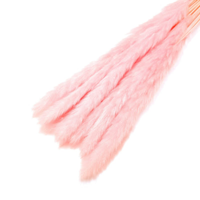 Buchet mini pampas, culoare roz deschis - ROC FD7