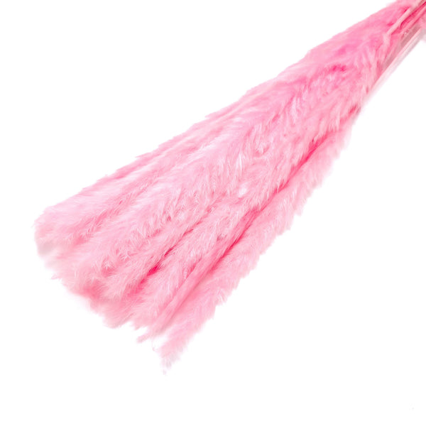 Buchet mini pampas, culoare roz închis - ROC FD7