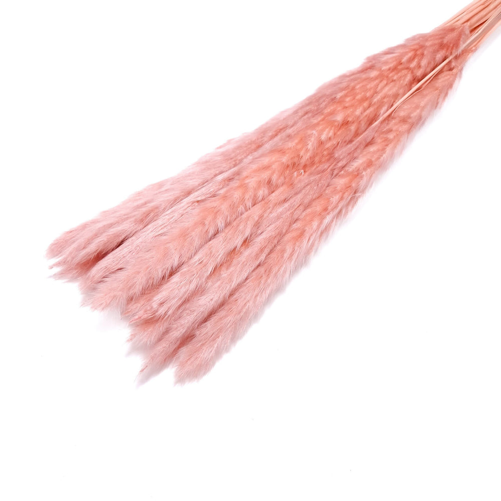 Buchet mini pampas, culoare roz prăfuit - ROC FD7