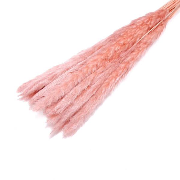 Buchet mini pampas, culoare roz prăfuit - ROC FD7