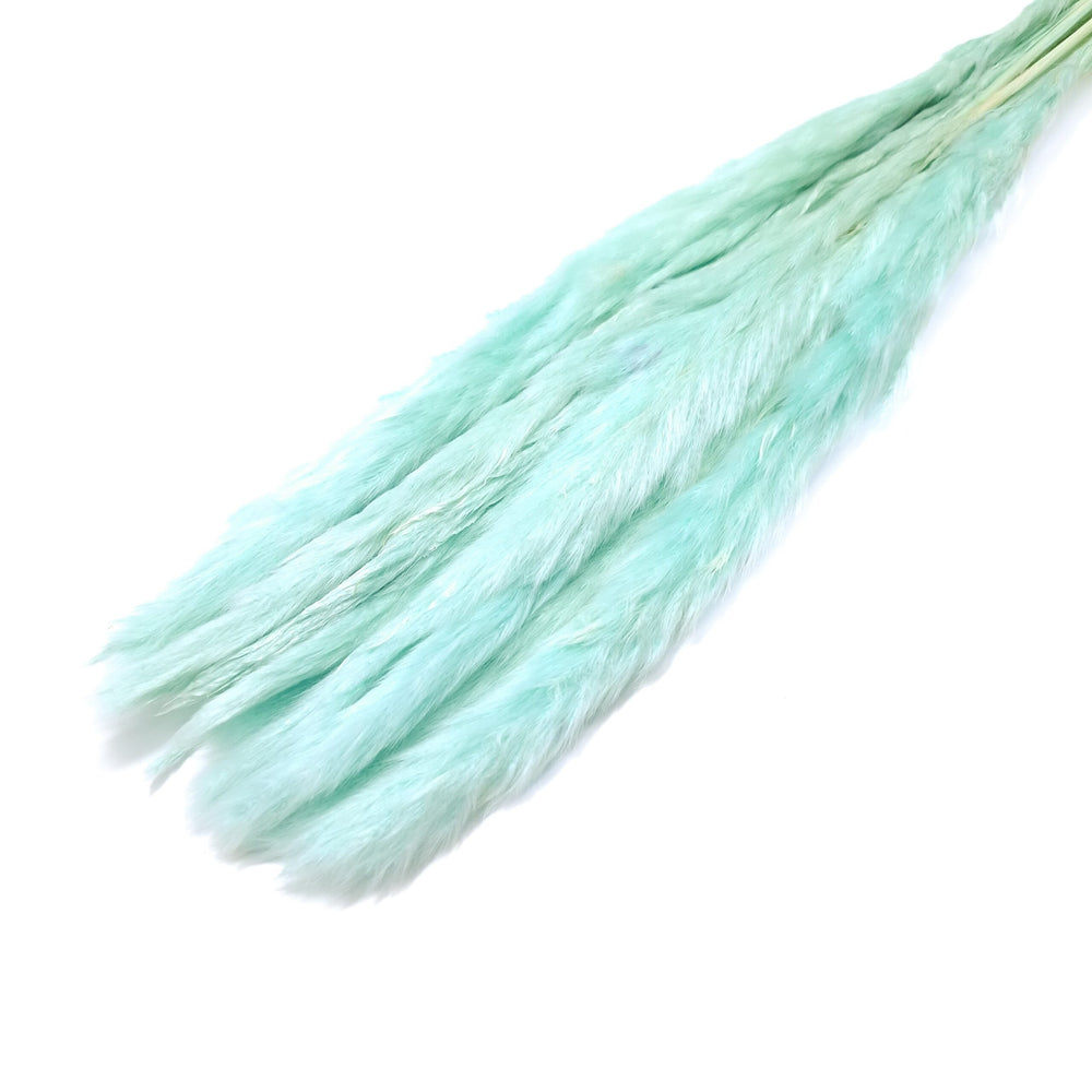 Buchet mini pampas, culoare turcoaz - ROC FD7