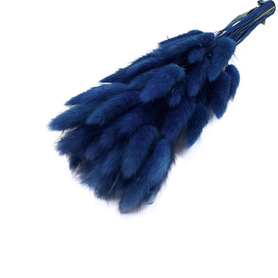 Ramo de Lagurus, color azul oscuro