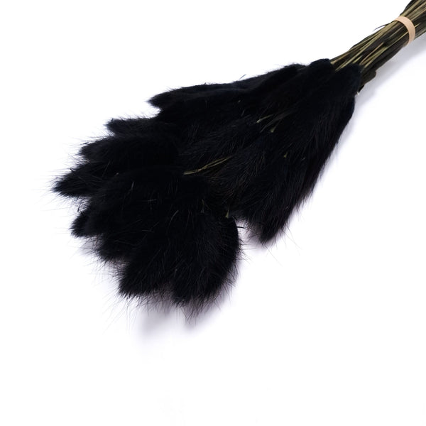 Buchet Lagurus, culoare negru - ROC FD8