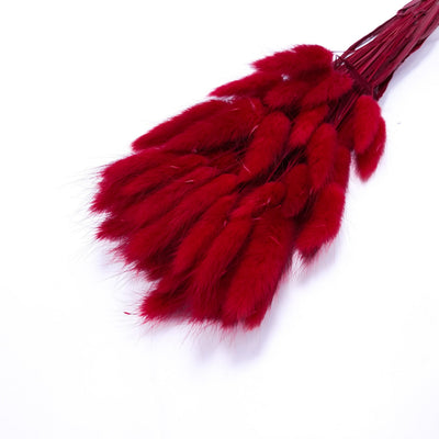 Ramo de Lagurus, color rojo