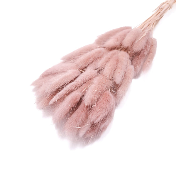 Buchet Lagurus, culoare roz prăfuit - ROC FD8