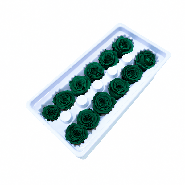 Set 12 trandafiri criogenati, culoare verde smarald NR. 32 - ROC M28