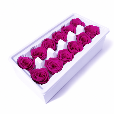Set 12 trandafiri criogenați, culoare ciclam NR. 35 - ROC M28