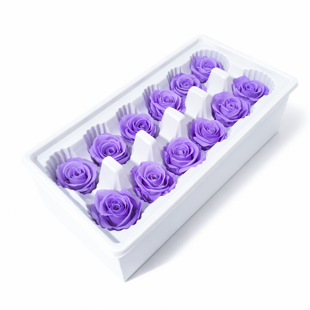 Set 12 trandafiri criogenați, culoare lila NR. 36 - ROC M28