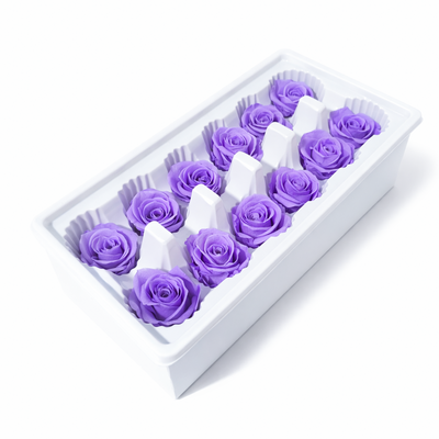 Set 12 trandafiri criogenați, culoare lila NR. 36 - ROC M28