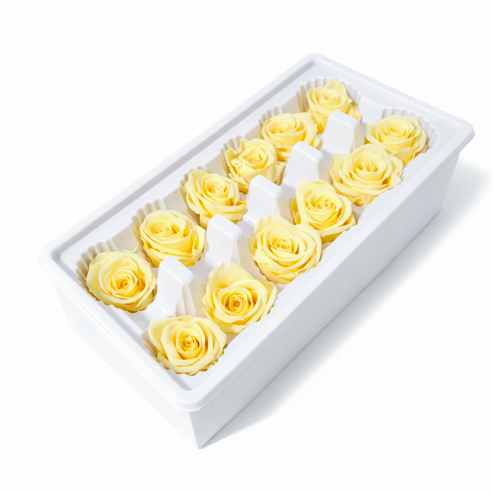 Set 12 trandafiri criogenați, culoare galben NR. 37 - ROC M28