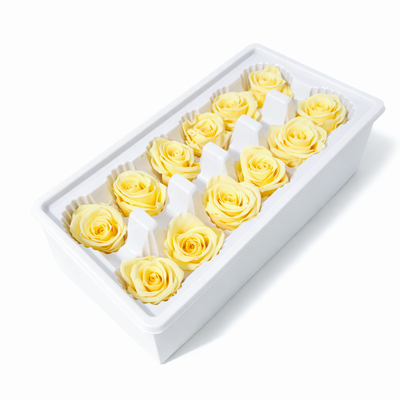 Set 12 trandafiri criogenați, culoare galben NR. 37 - ROC M28