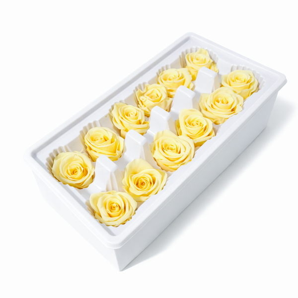 Set 12 trandafiri criogenați, culoare galben NR. 37 - ROC M28