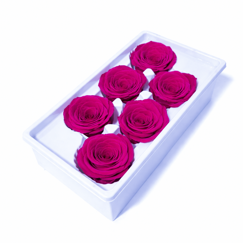 Set 6 trandafiri criogenați, culoare ciclam NR. 7 - ROC M28