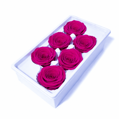 Set 6 trandafiri criogenați, culoare ciclam NR. 7 - ROC M28
